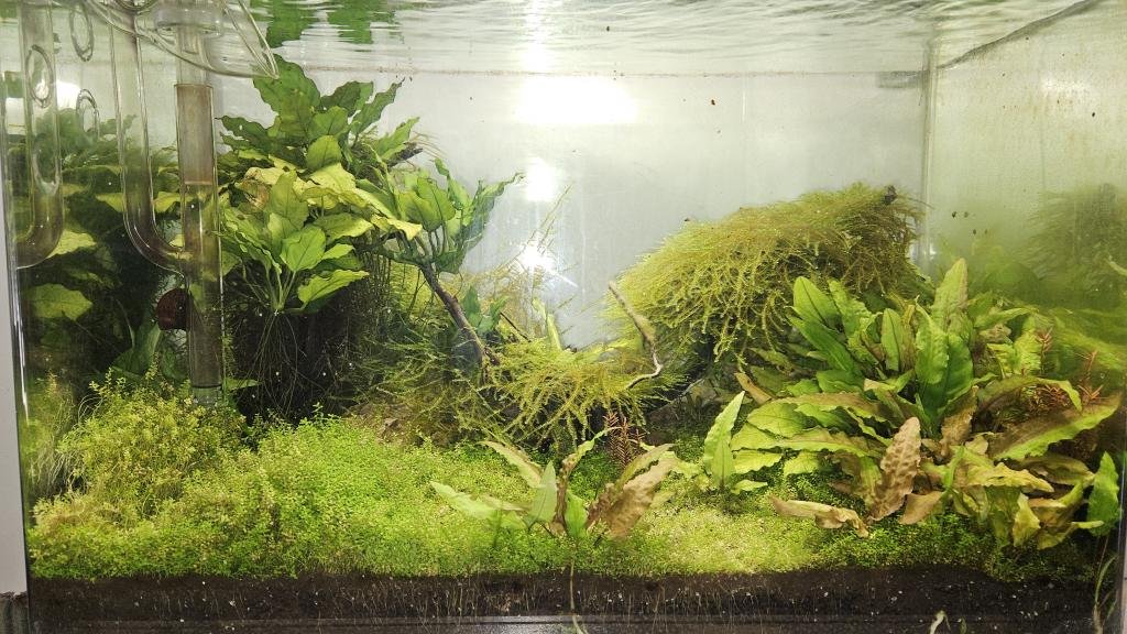 DELAPAiX de DELAPAiX