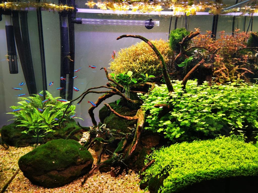 Eheim vivaline 150L de LeFlo