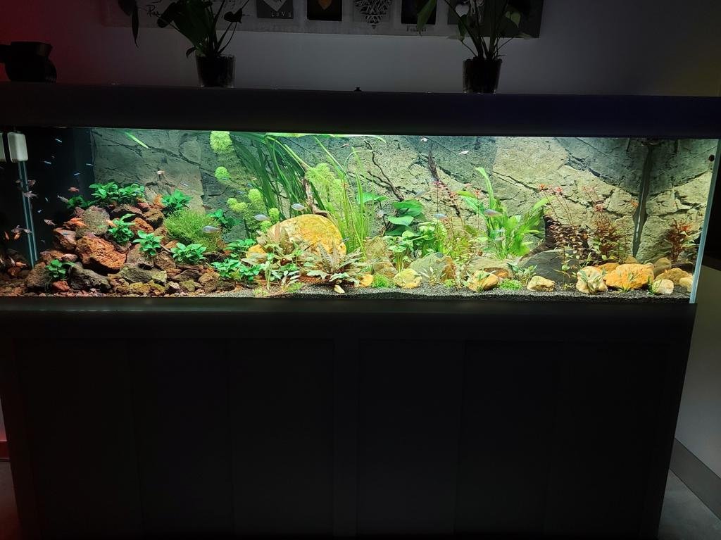 aqua400 de Membre inconnu