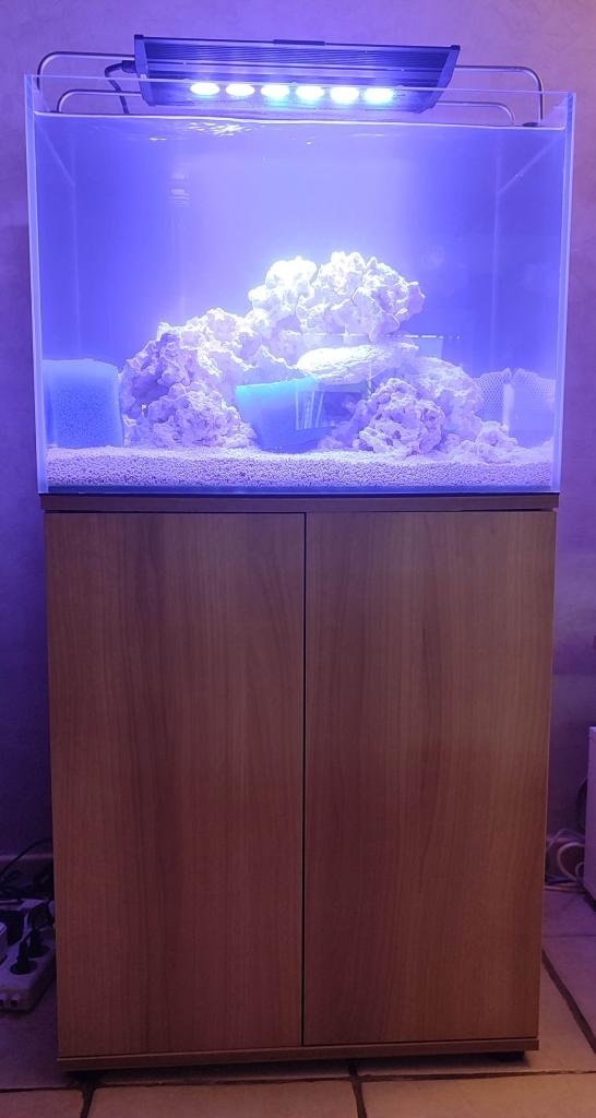 Marin de Jackcellere