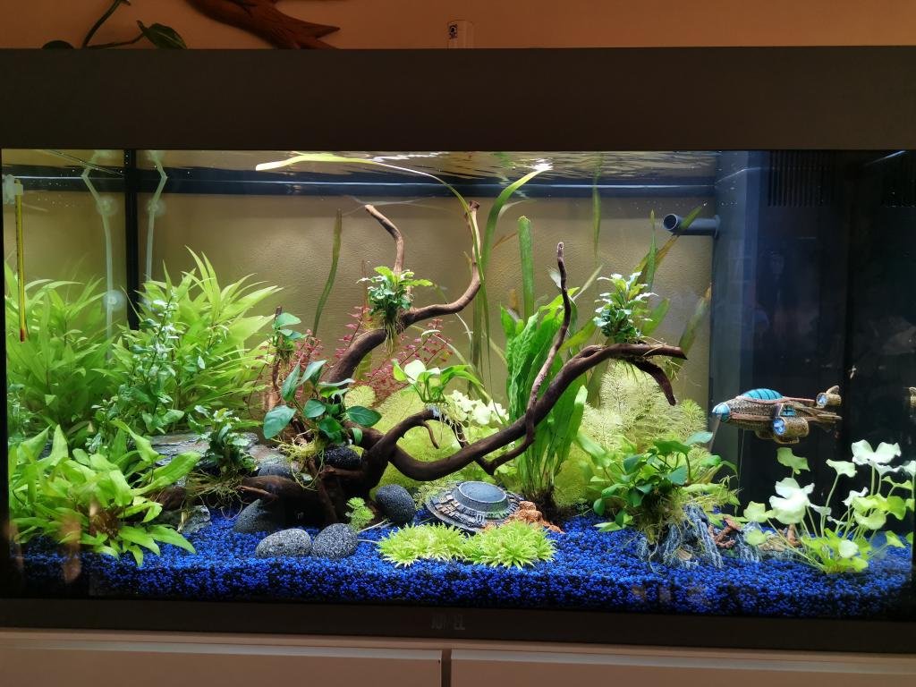 Mon petit monde de Jojomars13