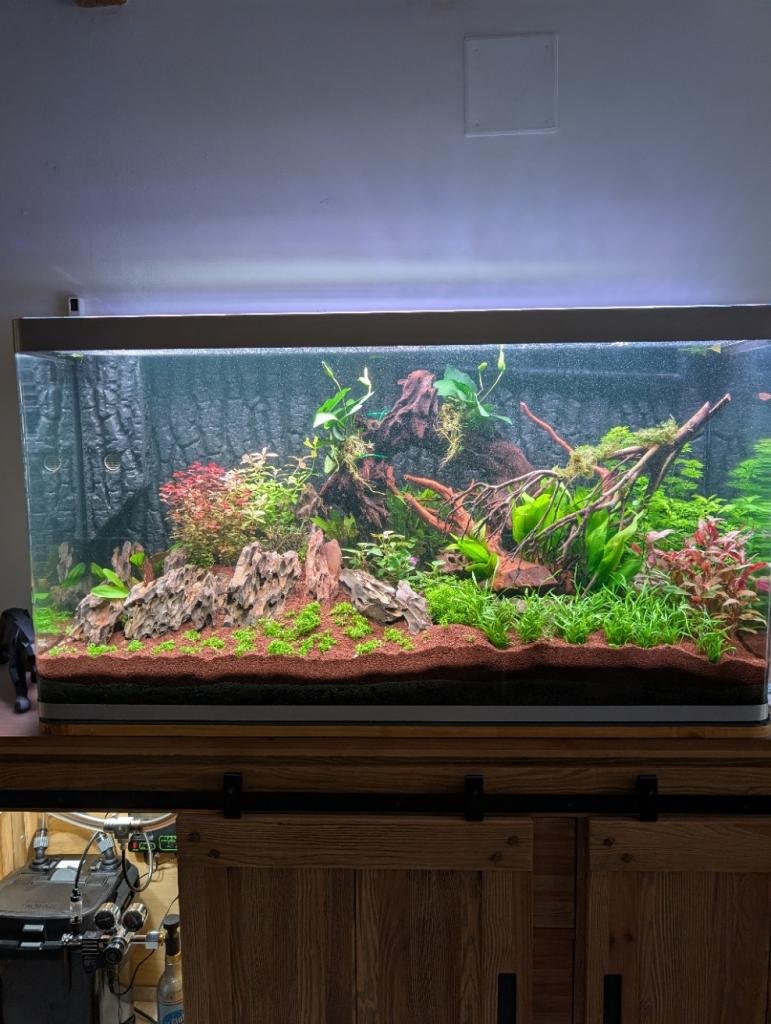 l'amazone au salon de JPNAT