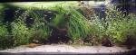 Aquarium 200 L. de TigerDom