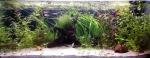 Aquarium 200 L. de TigerDom