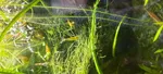 La jungle de Vincent45