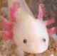 Avatar du membre