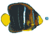 Avatar du membre