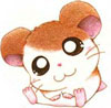 Avatar du membre