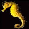 Avatar du membre