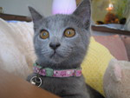 Avatar du membre