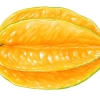 Avatar du membre