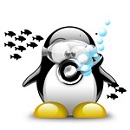 Avatar du membre