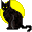 :blackcat: