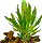 :plante: